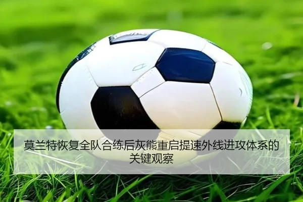 莫兰特恢复全队合练后灰熊重启提速外线进攻体系的关键观察